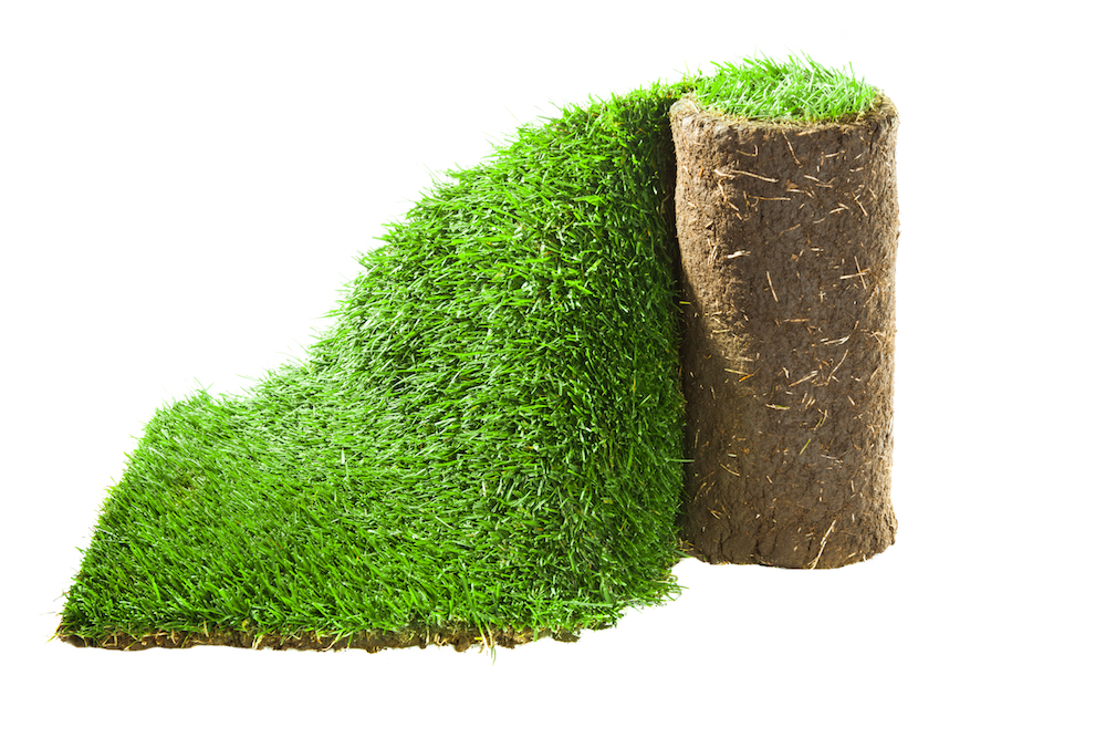 Atlanta Sod for a Lush Lawn That Stands Out Year Round